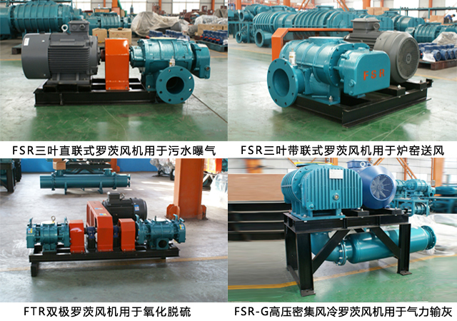 1537944534570934.jpg 三葉羅茨風(fēng)機結(jié)構(gòu)圖