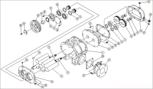 三葉羅茨鼓風機結構圖 三葉羅茨鼓風機結構圖