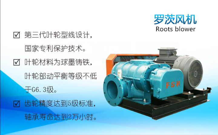 羅茨風(fēng)機(jī) 羅茨風(fēng)機(jī)