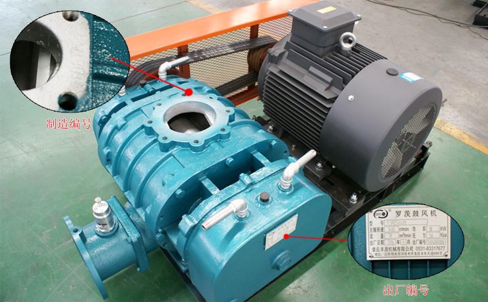 化工行業(yè)專用羅茨風(fēng)機 化工行業(yè)專用羅茨風(fēng)機