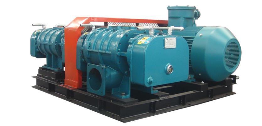 雙極羅茨鼓風(fēng)機(jī) 雙極羅茨鼓風(fēng)機(jī)